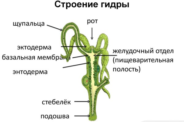 Как сделать заказ на кракен